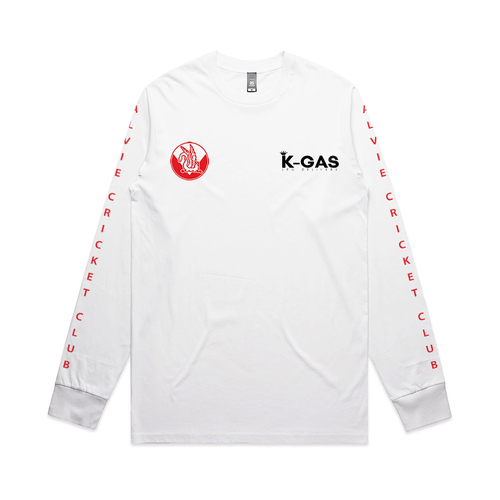 WORKWEAR, SAFETY & CORPORATE CLOTHING SPECIALISTS - Staple Tee - Long Sleeve - White